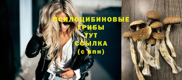 кокс Волосово