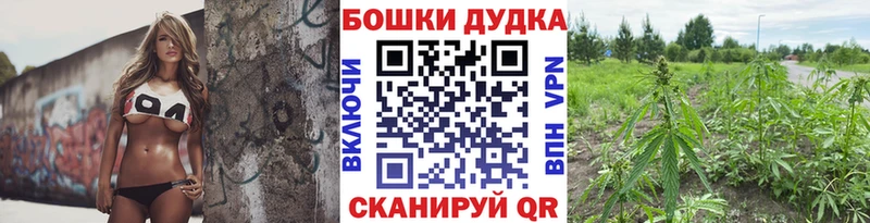 Бошки марихуана гибрид  купить наркотик  Черноголовка 
